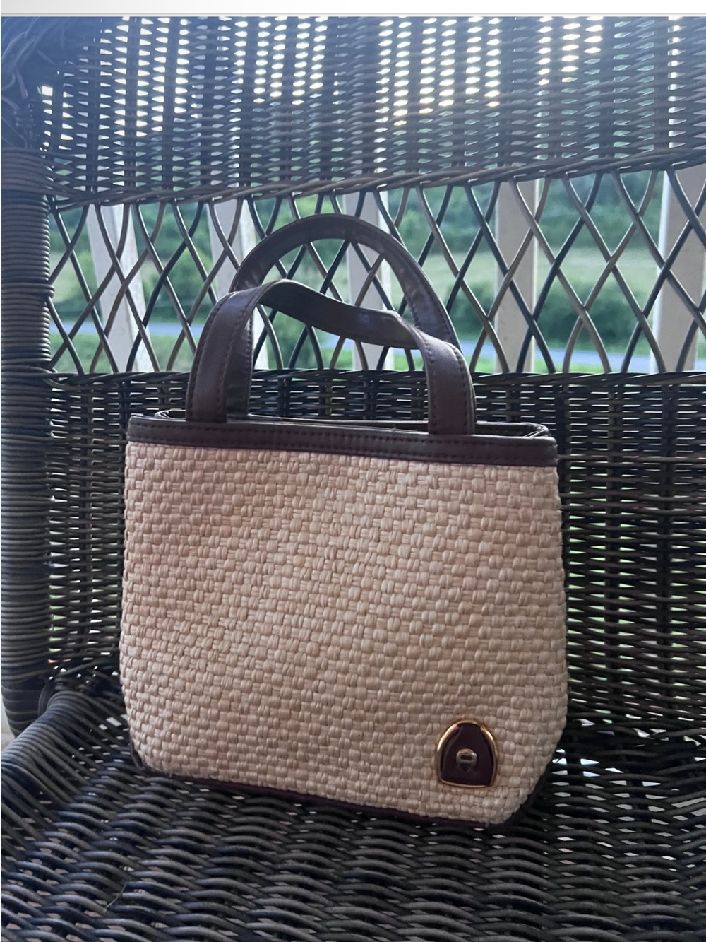 Etienne Aigner Beige Woven Tote with Brown Trim